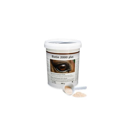 Biotin 2000 plus 800 g boîte - MyStetho Veterinary