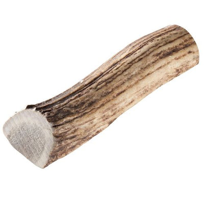 Chewies polonais bois de cerf rouge L - MyStetho Veterinary