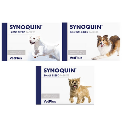 SYNOQUIN® Growth (60 comprimés) - MyStetho Veterinary