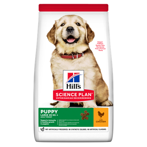 Hill's Science Plan Large Breed Puppy Chicken 14.5 kg - MyStetho Veterinary