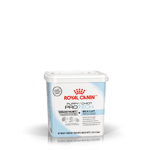 Royal Canin PUPPY PRO TECH 300 g - MyStetho Veterinary