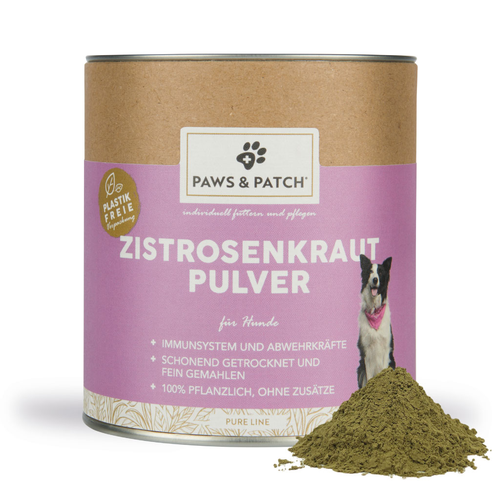 Paws&Patch Poudre de CISTUDE D'EUROPE pour chiens 150g - MyStetho Veterinary