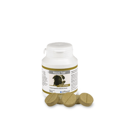 Nausi Tab pour chiens 1 comprimé (boite de 20 comprimés 110g) - MyStetho Veterinary