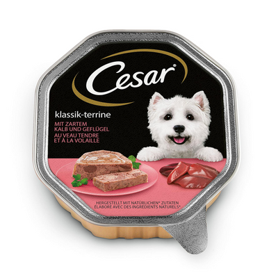 Cesar classique en terrine avec tendre - MyStetho Veterinary