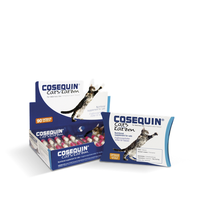 Cosequin Katzen (boite de 45 Capsules) - MyStetho Veterinary