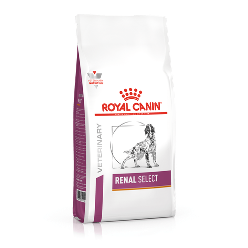 Royal Canin RENAL SELECT 2 kg - MyStetho Veterinary