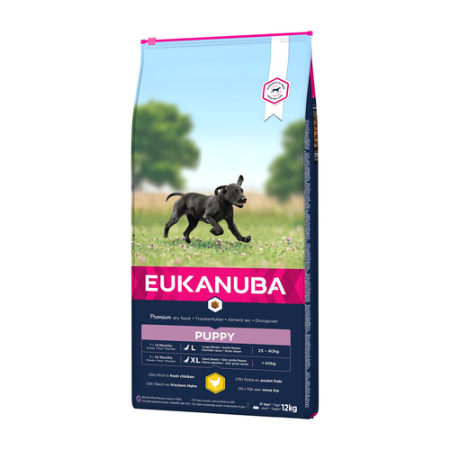 Eukanuba Puppy Large - MyStetho Veterinary