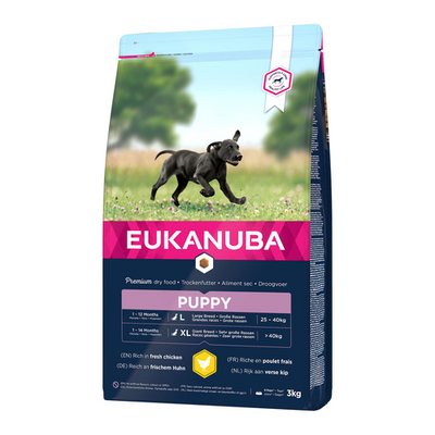 Eukanuba Puppy Large - MyStetho Veterinary