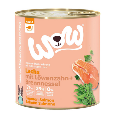 WOW Adult saumon avec viande, 800g - MyStetho Veterinary