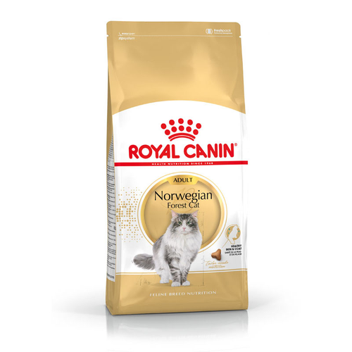 Royal Canin Norwegian Forest Cat Adult 2 kg - MyStetho Veterinary