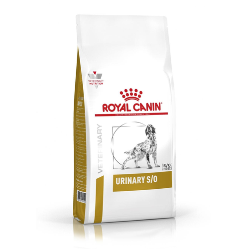 Royal Canin URINARY S/O 13 kg - MyStetho Veterinary