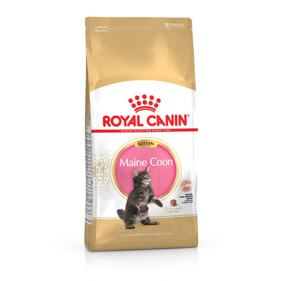 Royal Canin Maine Coon Kitten 10 kg - MyStetho Veterinary