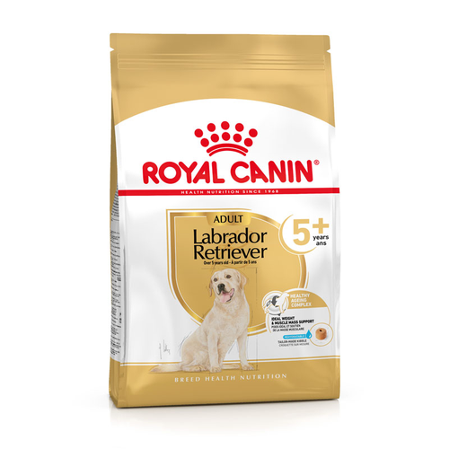 Royal Canin Labrador Retriever Adult 5+ 12 kg - MyStetho Veterinary