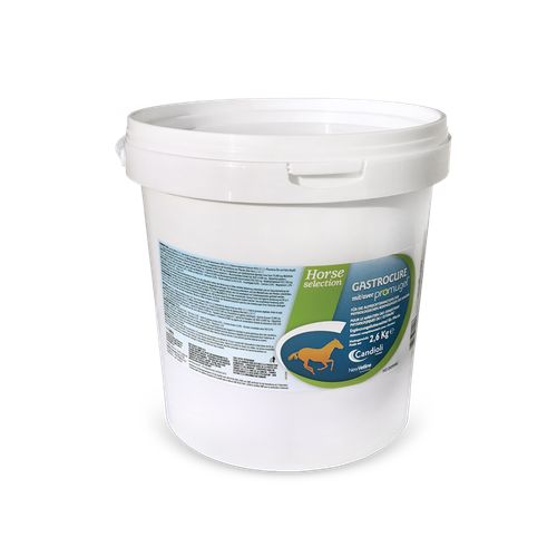 Gastrocure Kg 2.6 Concentré en poudre - MyStetho Veterinary