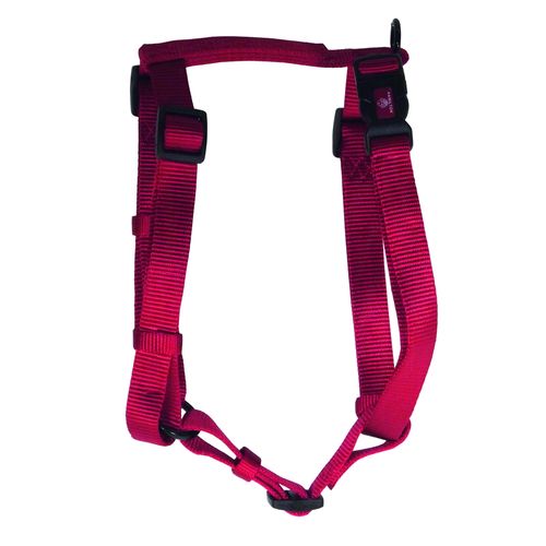 Harnais pour chiens rouge 2.5 x 75-100 cm - MyStetho Veterinary