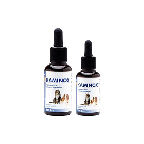 KAMINOX - 120 ml - MyStetho Veterinary