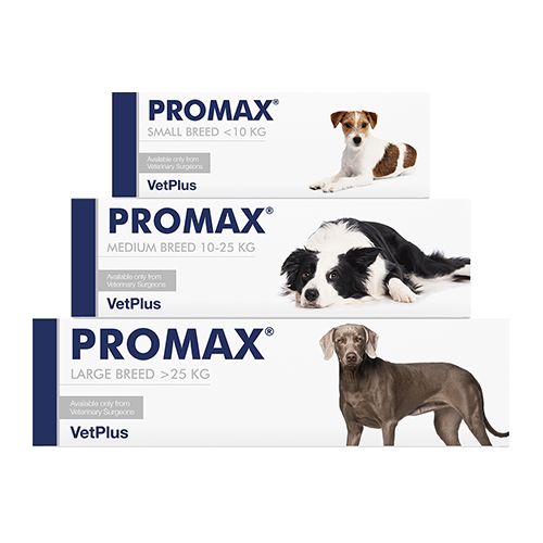 PROMAX® Large - 30 ml Injektor - MyStetho Veterinary