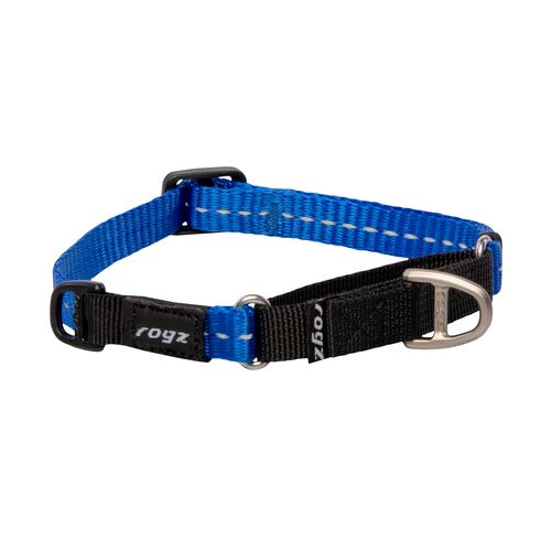 Rogz Control Zug-Stopp Halsband für Hunde in blau - MyStetho Veterinary
