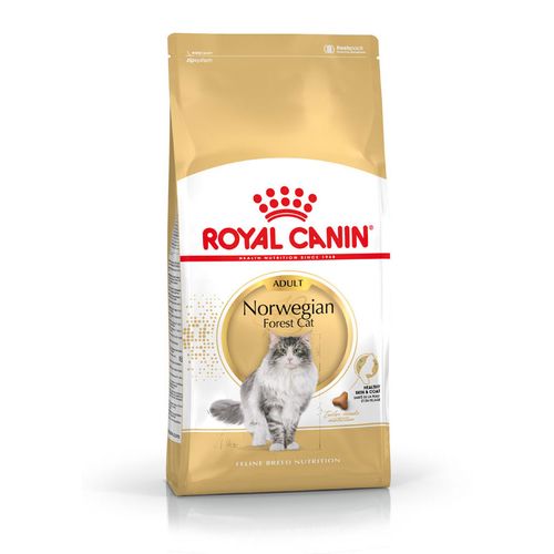 Royal Canin Norwegian Forest Cat Adult 10 kg - MyStetho Veterinary