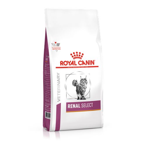 Royal Canin RENAL SELECT 2 kg - MyStetho Veterinary