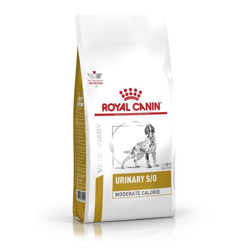 Royal Canin URINARY S/O MODERATE CALORIE 12 kg - MyStetho Veterinary